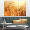 Designart - Ears of Golden Wheat Close up - Large Landscape Canvas Art